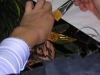 lacam3